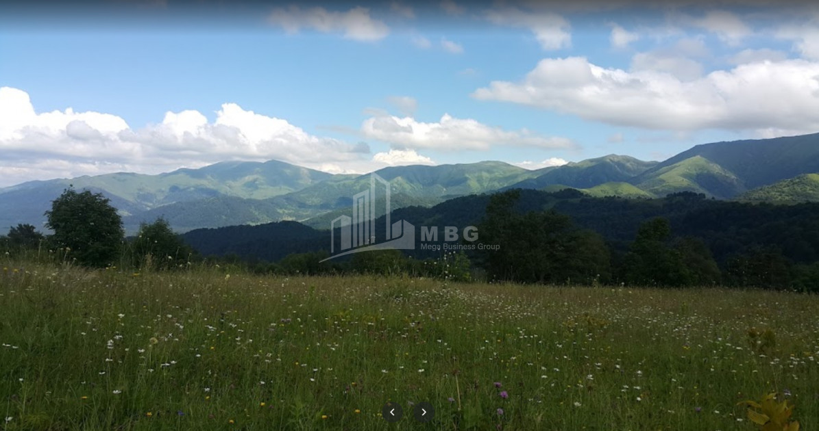 Borjomi district, village Tsikhisjvari
