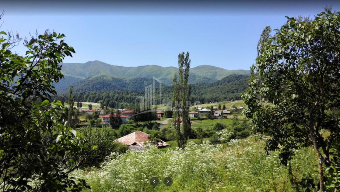 Borjomi district, village Tsikhisjvari