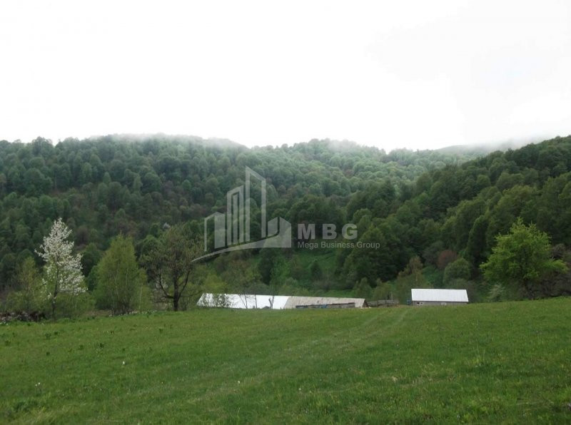 Borjomi district, village Tsikhisjvari