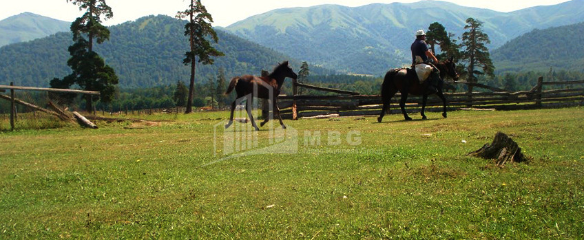 Borjomi district, village Tsikhisjvari