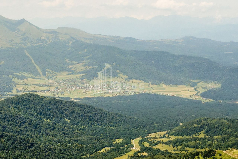 Borjomi district, village Tsikhisjvari