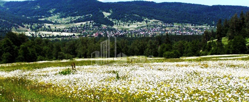 Borjomi district, village Tsikhisjvari