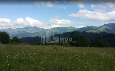 Borjomi district, village Tsikhisjvari