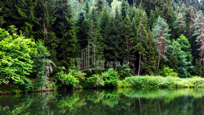 Абастумани