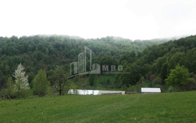 Borjomi district, village Tsikhisjvari