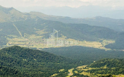 Borjomi district, village Tsikhisjvari