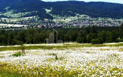 Borjomi district, village Tsikhisjvari