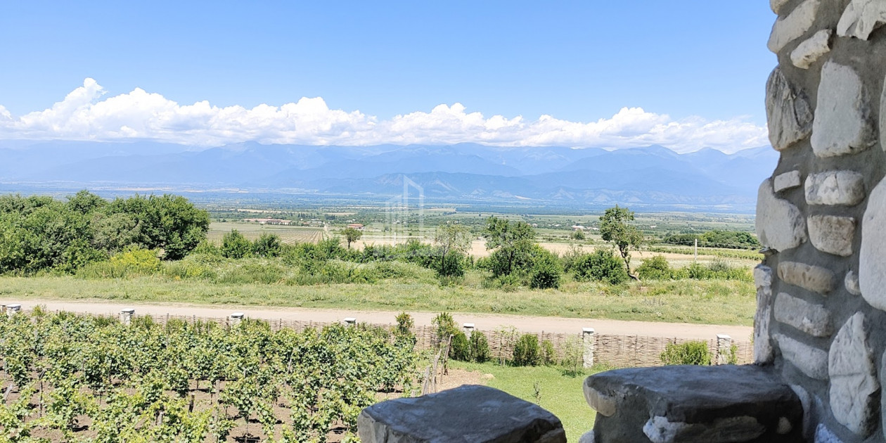 For Sale Chateau / Wine factory Commercial In Kakheti