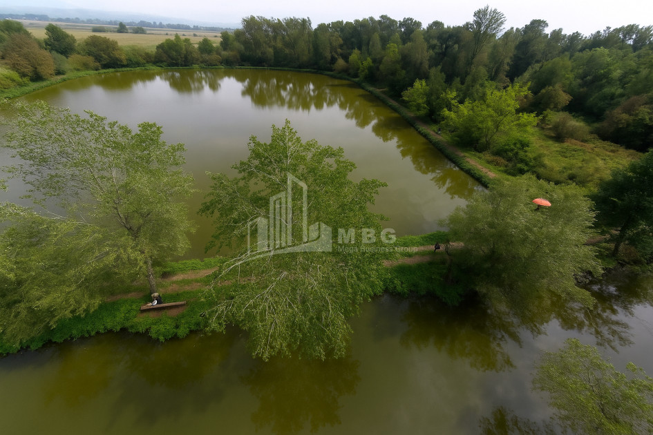 For Sale Vineyard - Chateau Land In Kvareli