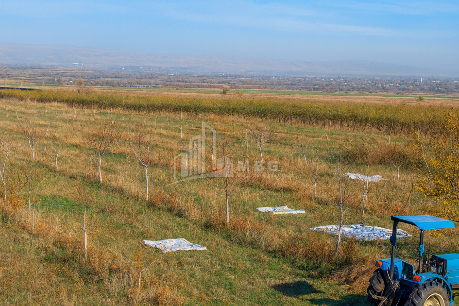 For Sale Orchards Land In the Village Shaumiani, Marneuli