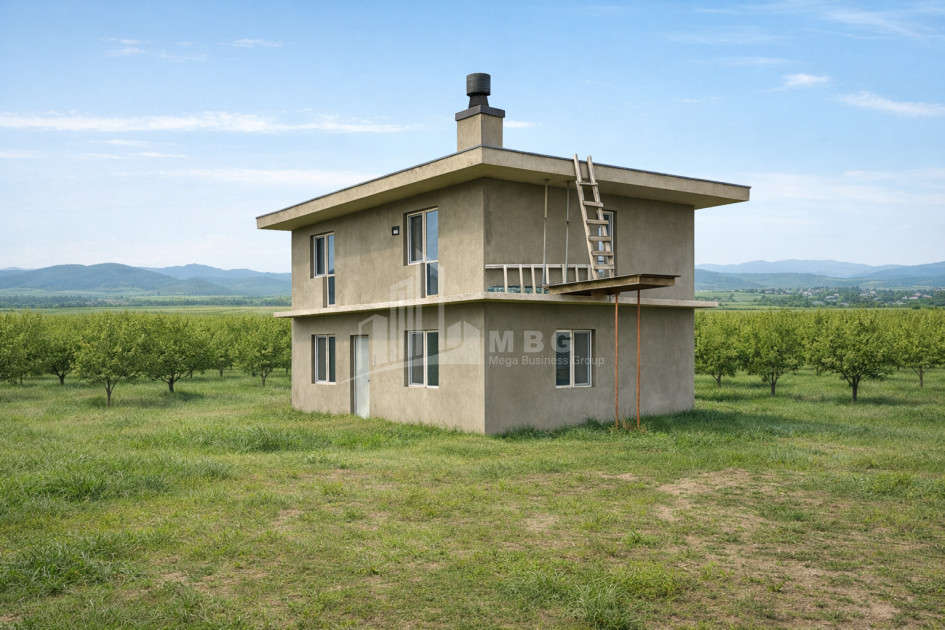For Sale Walnut orchard Land In Bolnisi
