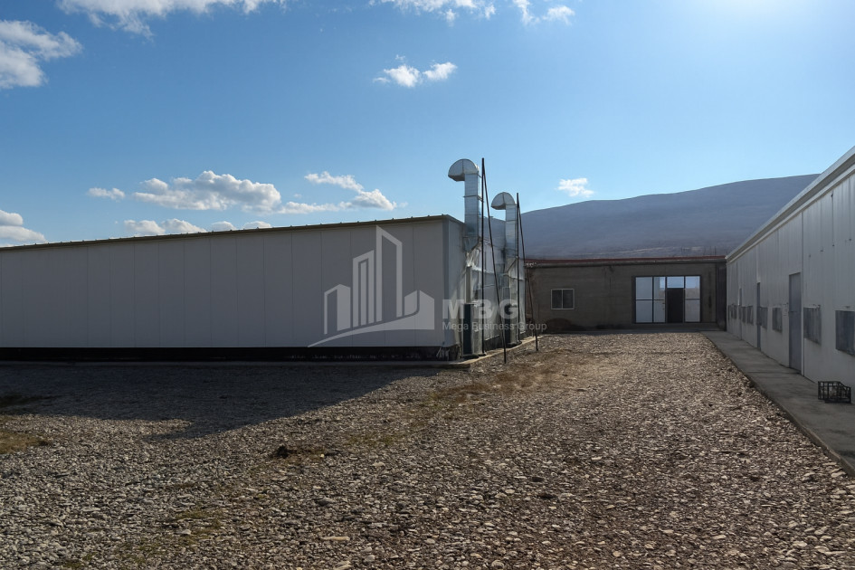 For Sale Mushroom Factory Commercial In Okami, Kaspi