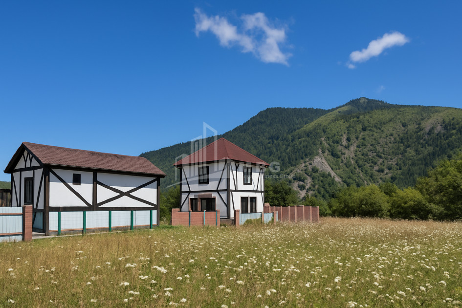 Продается Новостройка Дом - Вилла В Садгери, Боржоми