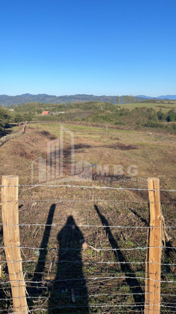 For Sale Blueberry orchard Land In Baileti, Ozurgeti
