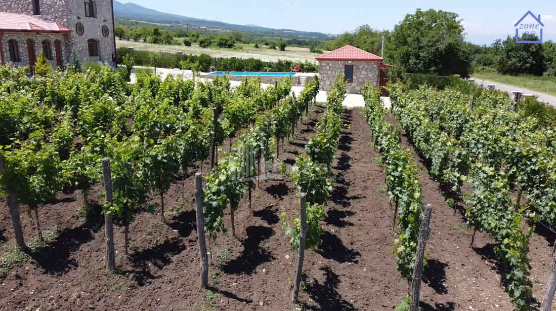 For Sale Chateau / Wine factory Commercial In Kakheti