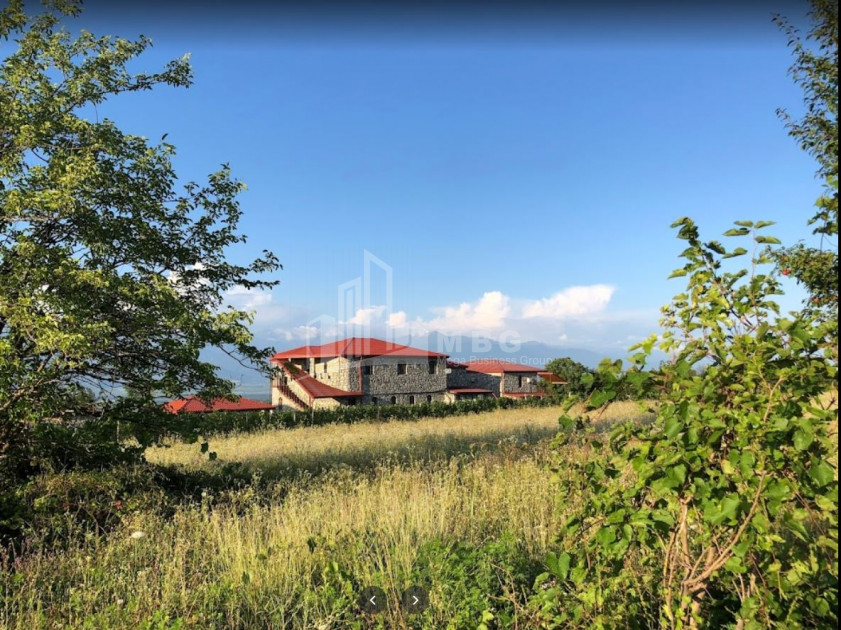 For Sale Chateau / Wine factory Commercial In Kakheti