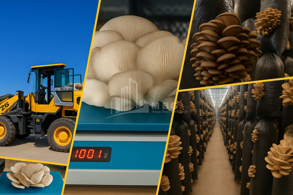 For Sale Mushroom Factory Commercial In Okami, Kaspi