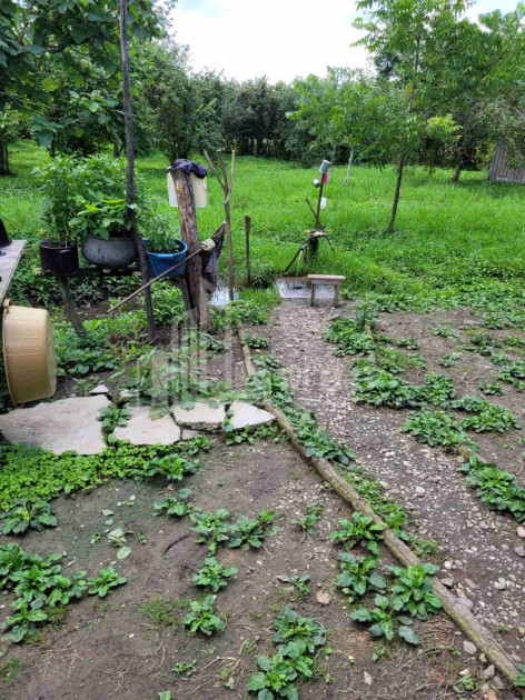 Продается Пахотные Земля В Село Чибати, Ланчхути