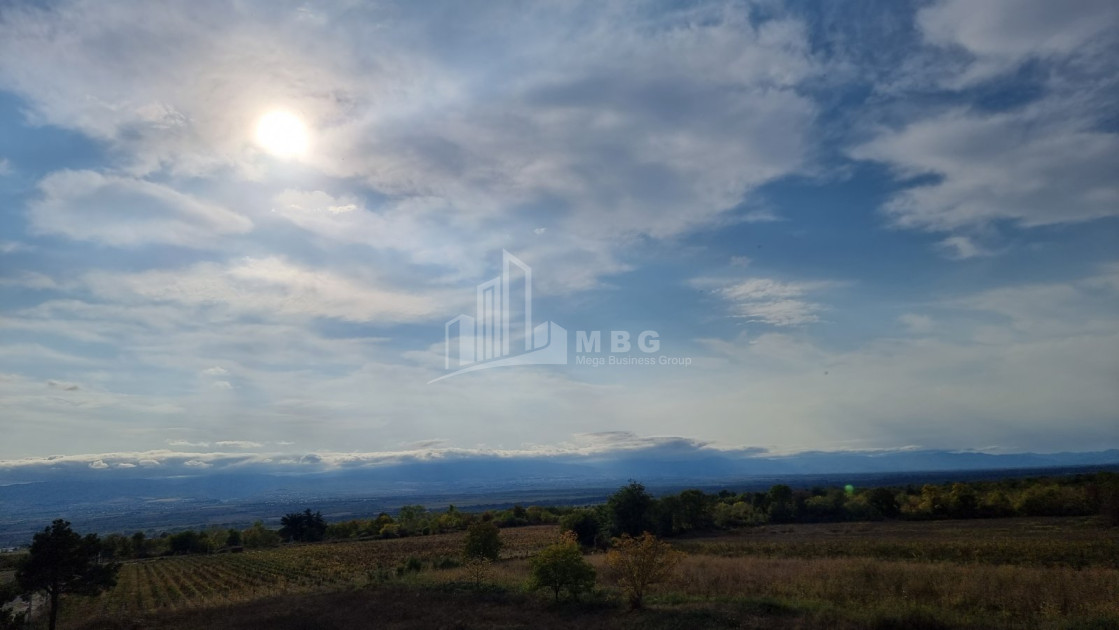 Продается Виноградник - Замковые Земля В Енисели, Кварели