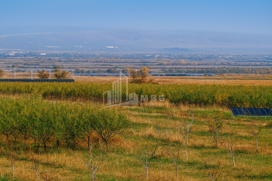 For Sale Orchards Land In the Village Shaumiani, Marneuli