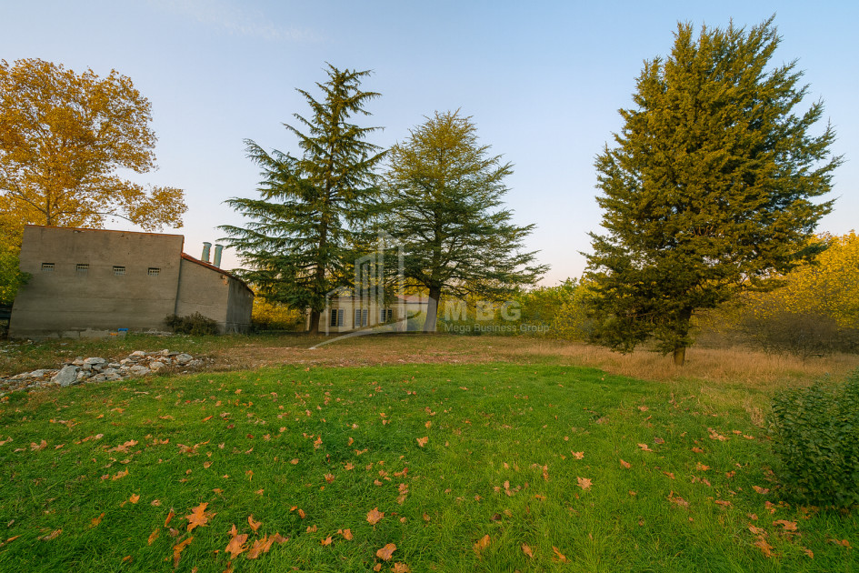 For Sale Chateau / Wine factory Commercial In Akhmeta