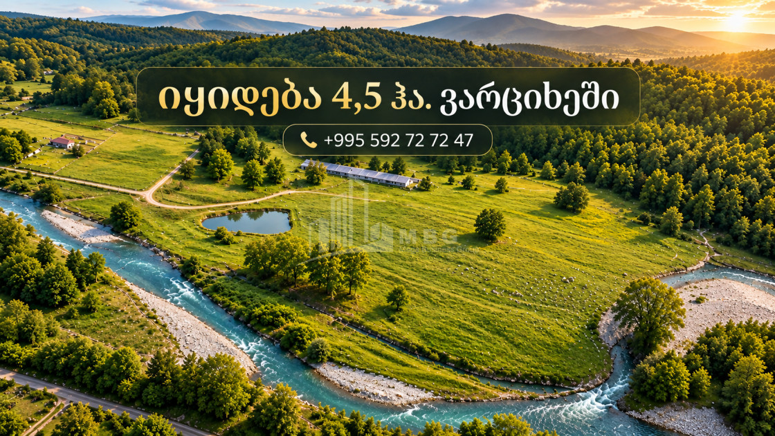Продается Виноградник - Замковые Земля В Варцихе ГЭСе, Багдати