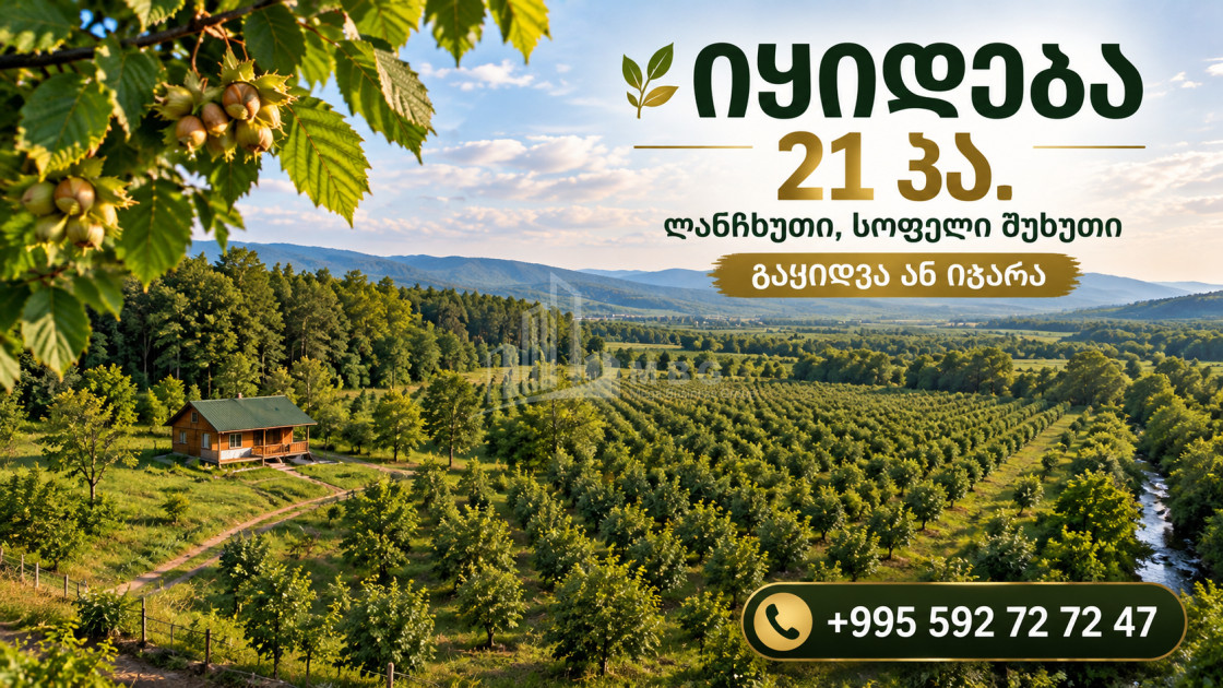 For Sale Orchards Land In Kvemo Shukhuti, Lanchkhuti