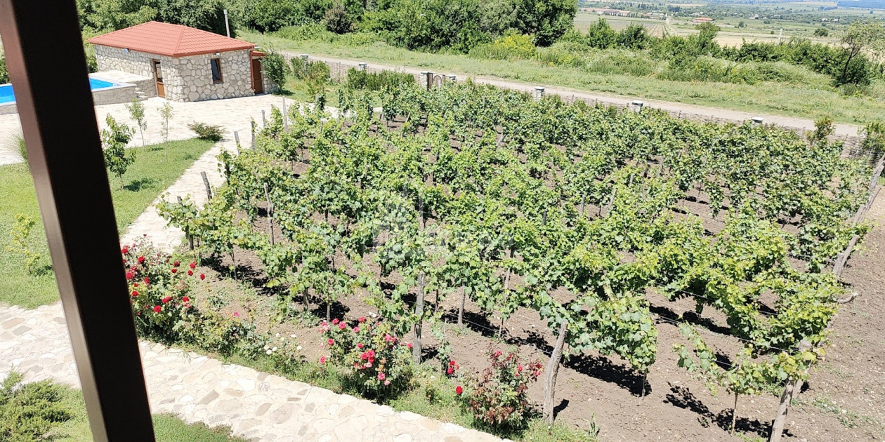 For Sale Chateau / Wine factory Commercial In Kakheti