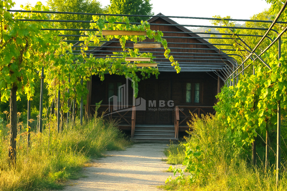 Продается Старое здание Дом - Вилла В Село Чопорте, Душети