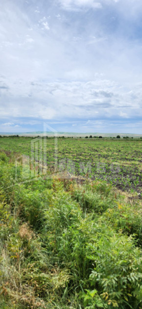 Продается Виноградник - Замковые Земля В Село Бадиаури, Сагареджо