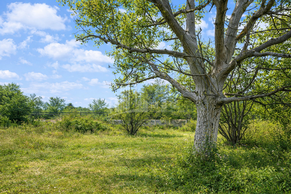 For Sale Old building House - Villa In Shalauri, Telavi