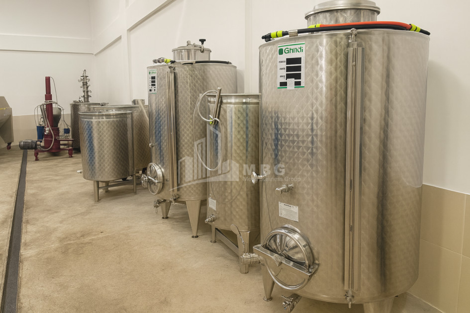 For Sale Chateau / Wine factory Commercial In Does, Kaspi