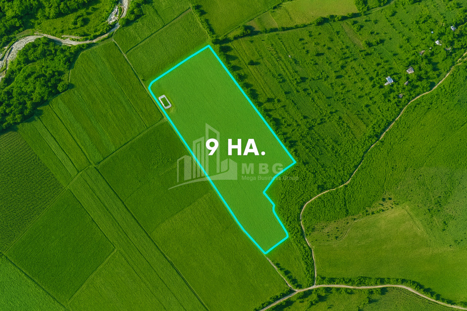 For Sale Walnut orchard Land In Bolnisi