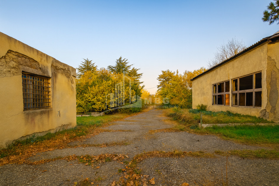 For Sale Chateau / Wine factory Commercial In Akhmeta