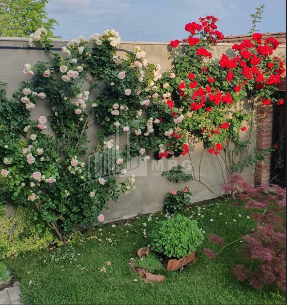 For Sale House - Villa In Digomi 1, Saburtalo District