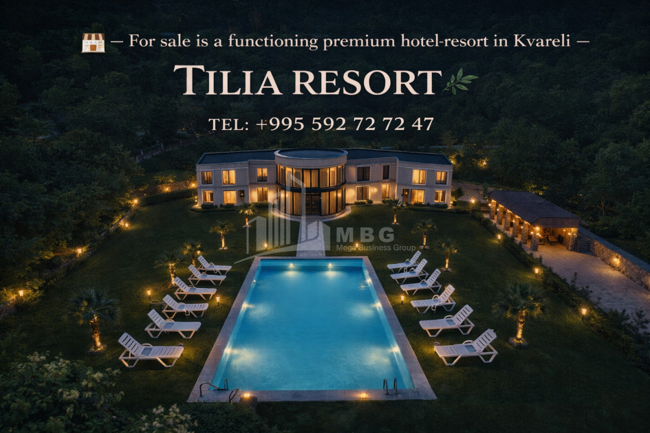 For Sale Hotel - Resort Commercial In Kvareli