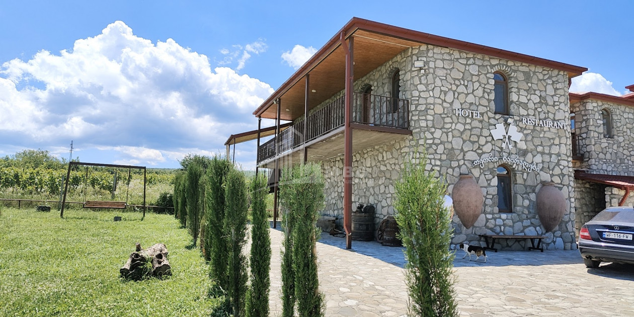 For Sale Chateau / Wine factory Commercial In Kakheti