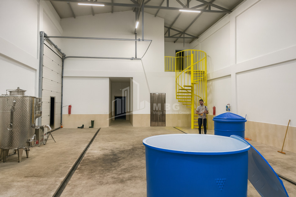 For Sale Chateau / Wine factory Commercial In Does, Kaspi