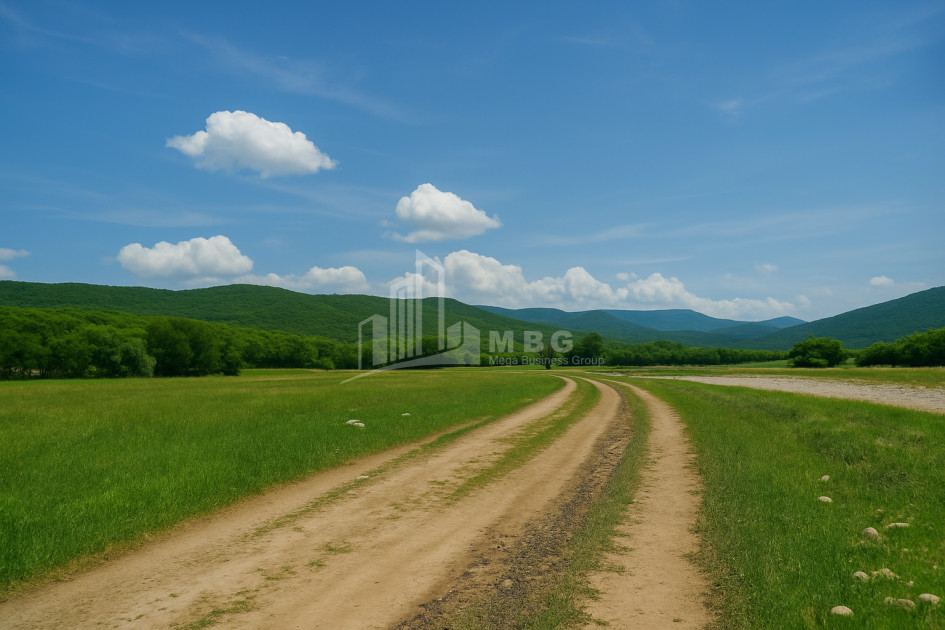 Продается Пахотные Земля В Гомбори, Сагареджо