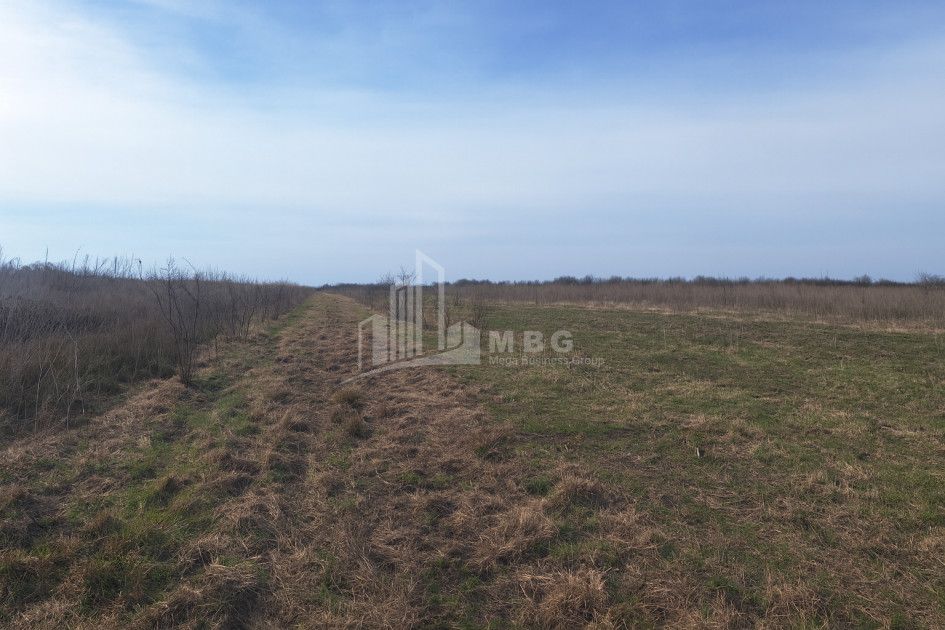 For Sale Orchards Land In Kvemo Shukhuti, Lanchkhuti