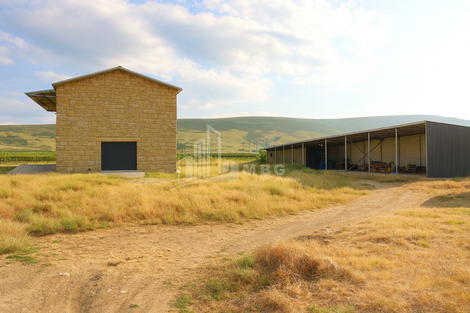 For Sale Chateau / Wine factory Commercial In Does, Kaspi