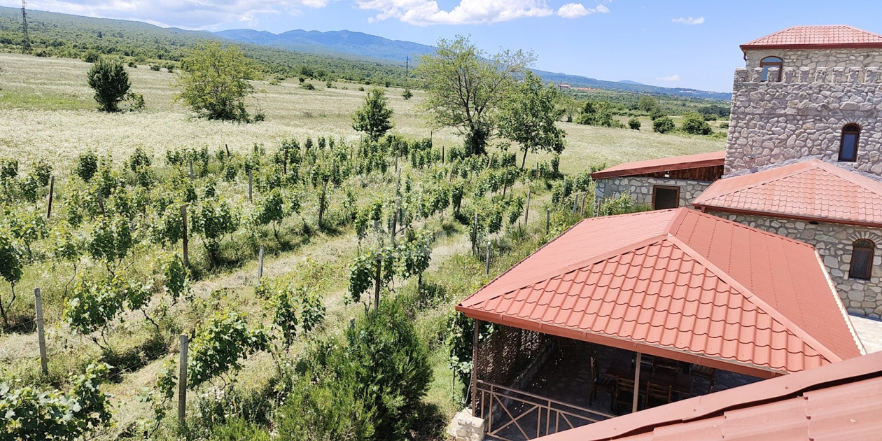 For Sale Chateau / Wine factory Commercial In Kakheti