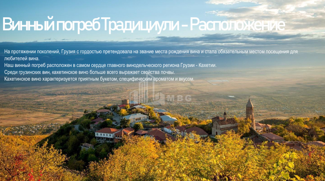 Продается Замок / Винный завод Коммерческий В Сигнаgи