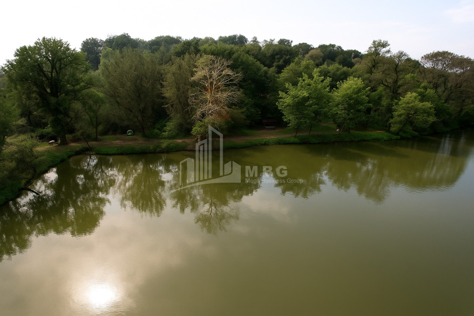 For Sale Vineyard - Chateau Land In Kvareli