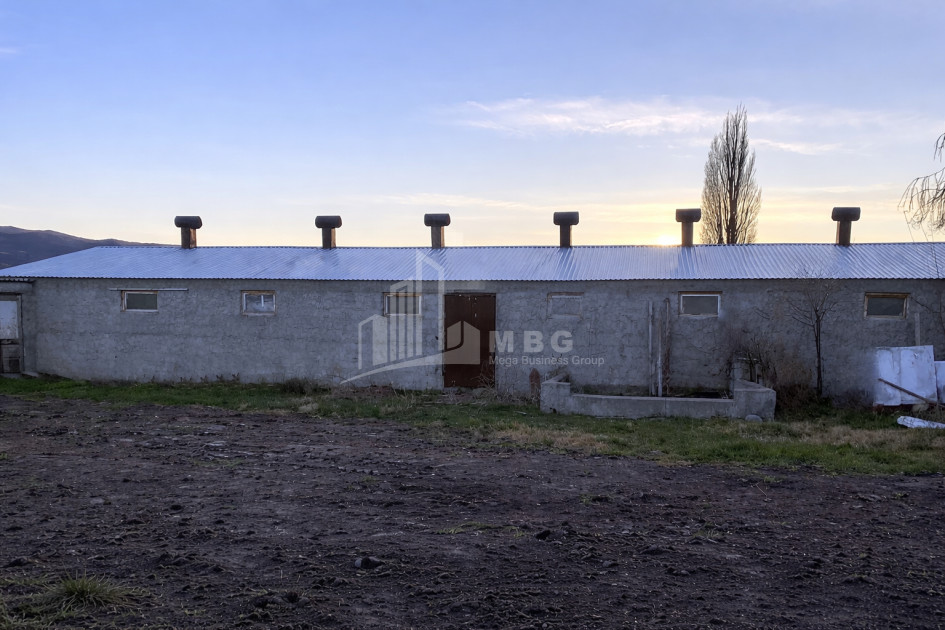 Продается Операционная ферма Коммерческий В Мухрани, Мцхета
