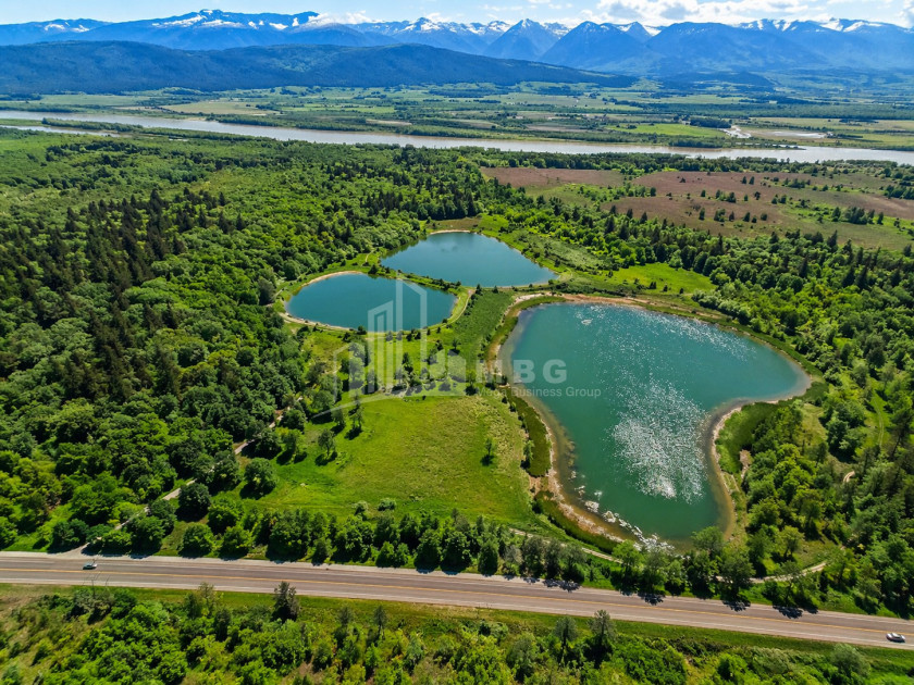 For Sale Commercial - universal Land In Kakheti