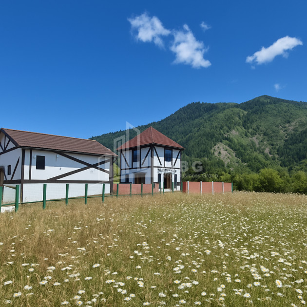 Продается Новостройка Дом - Вилла В Садгери, Боржоми
