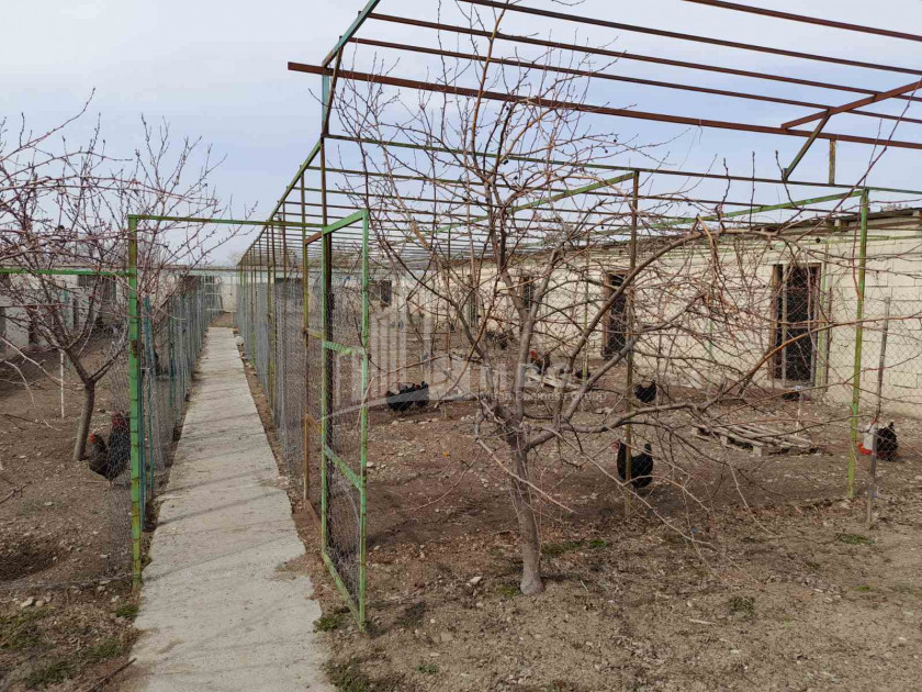Продается Операционная ферма Коммерческий В Мухрани, Мцхета