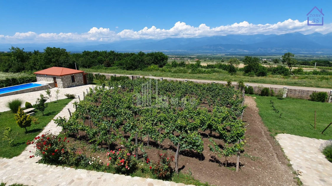 For Sale Chateau / Wine factory Commercial In Kakheti