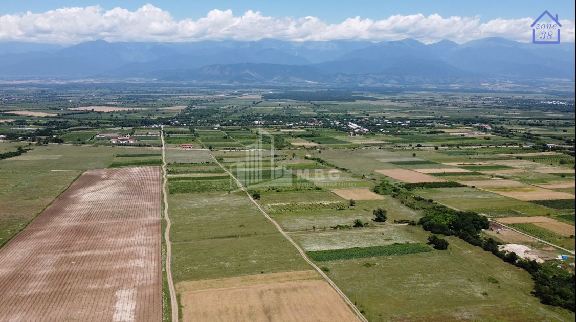 For Sale Chateau / Wine factory Commercial In Kakheti